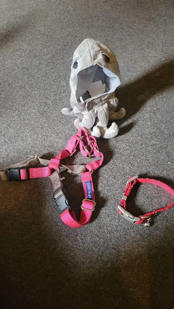 dog and cat body harness accessories clothing cat and dog accessories — photo 5