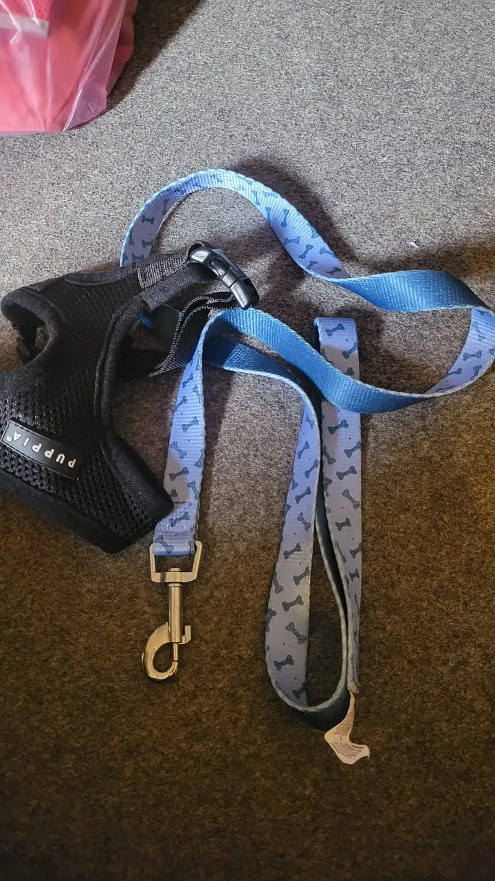 dog and cat body harness accessories clothing cat and dog accessories — photo 6