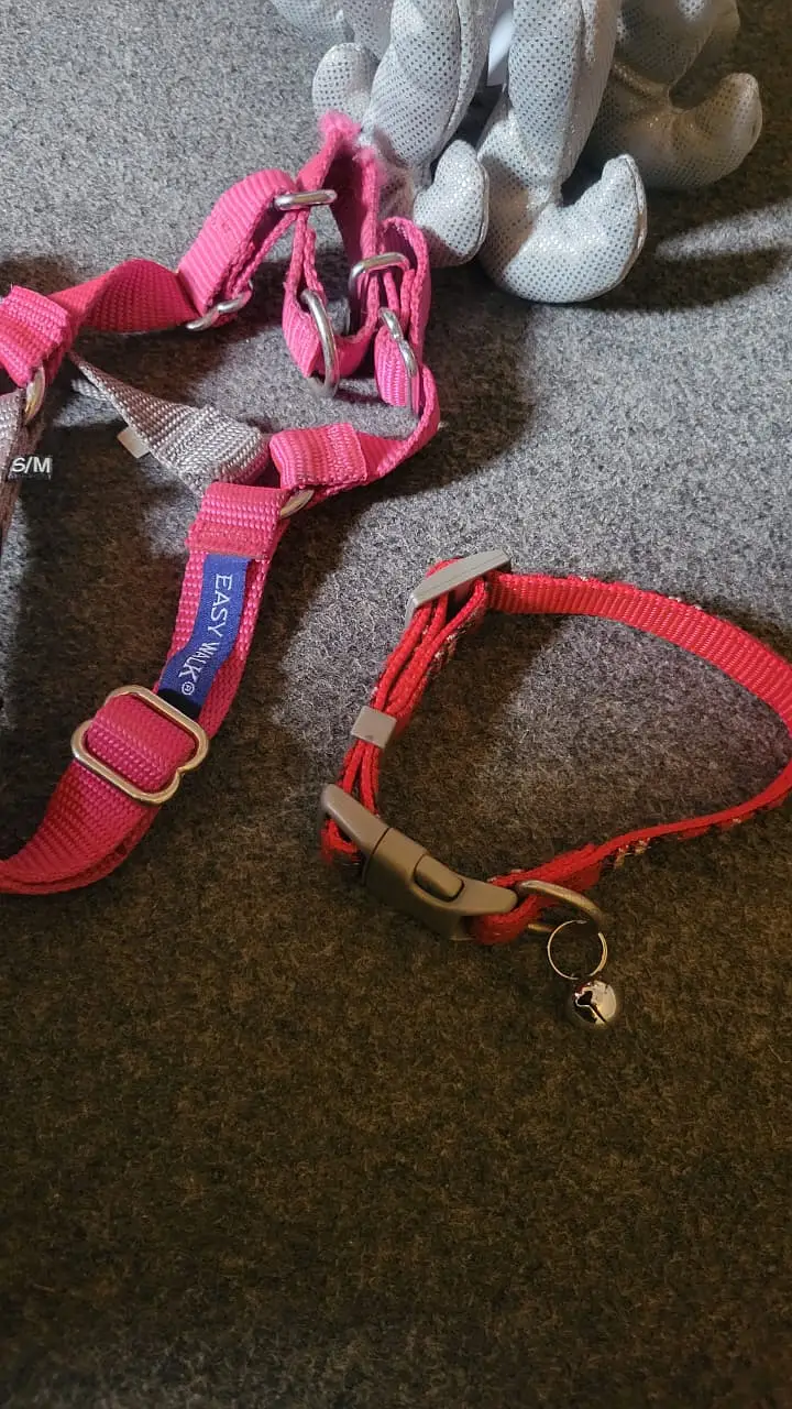 dog and cat body harness accessories clothing cat and dog accessories — photo 7