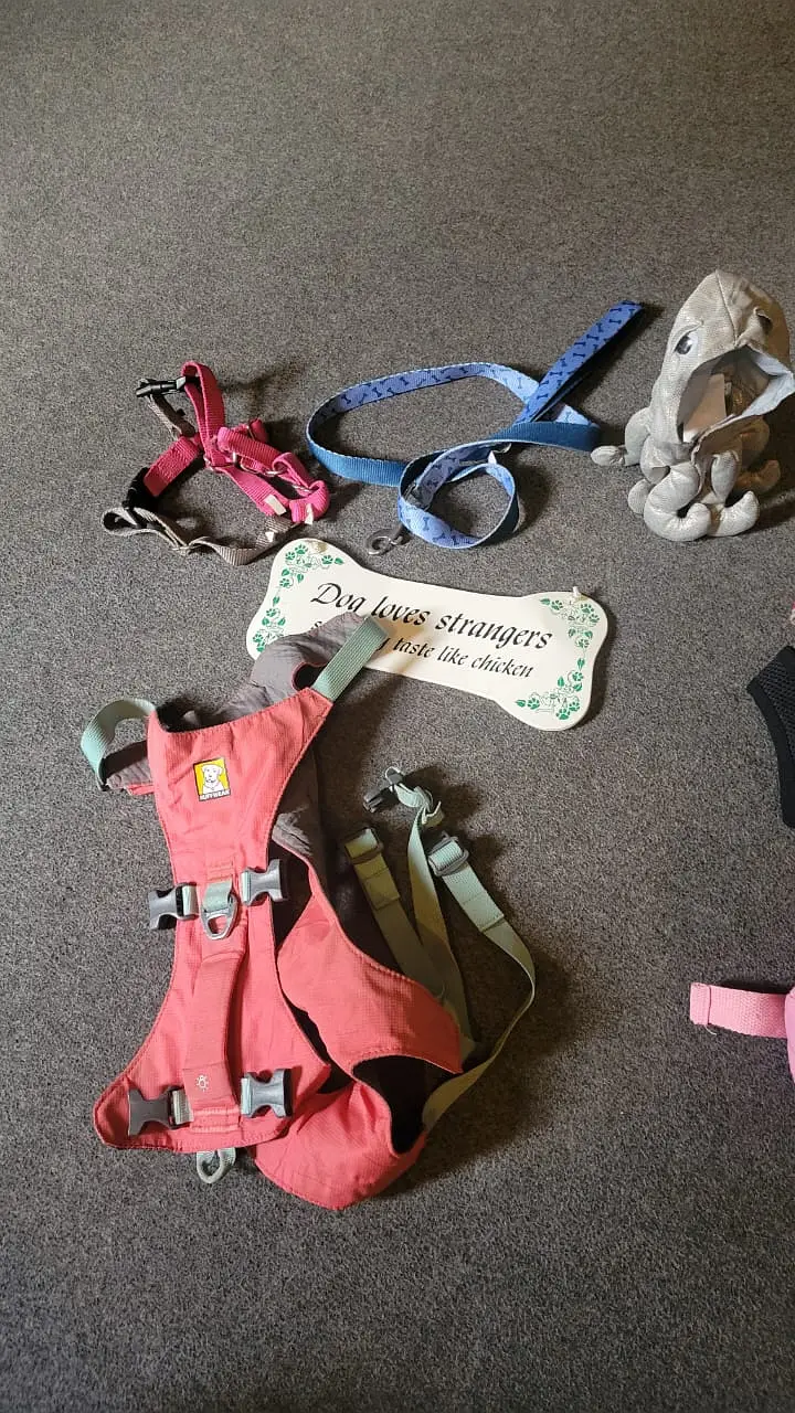 dog and cat body harness accessories clothing cat and dog accessories — photo 8