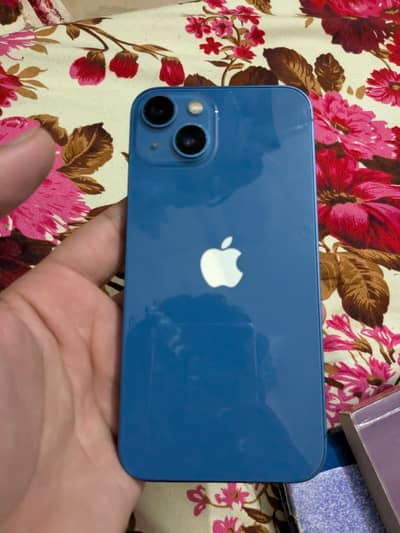 iPhone 13