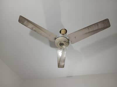 Ceiling fan For sale