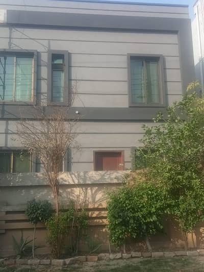 Rockwall grafi paint stiko pocha