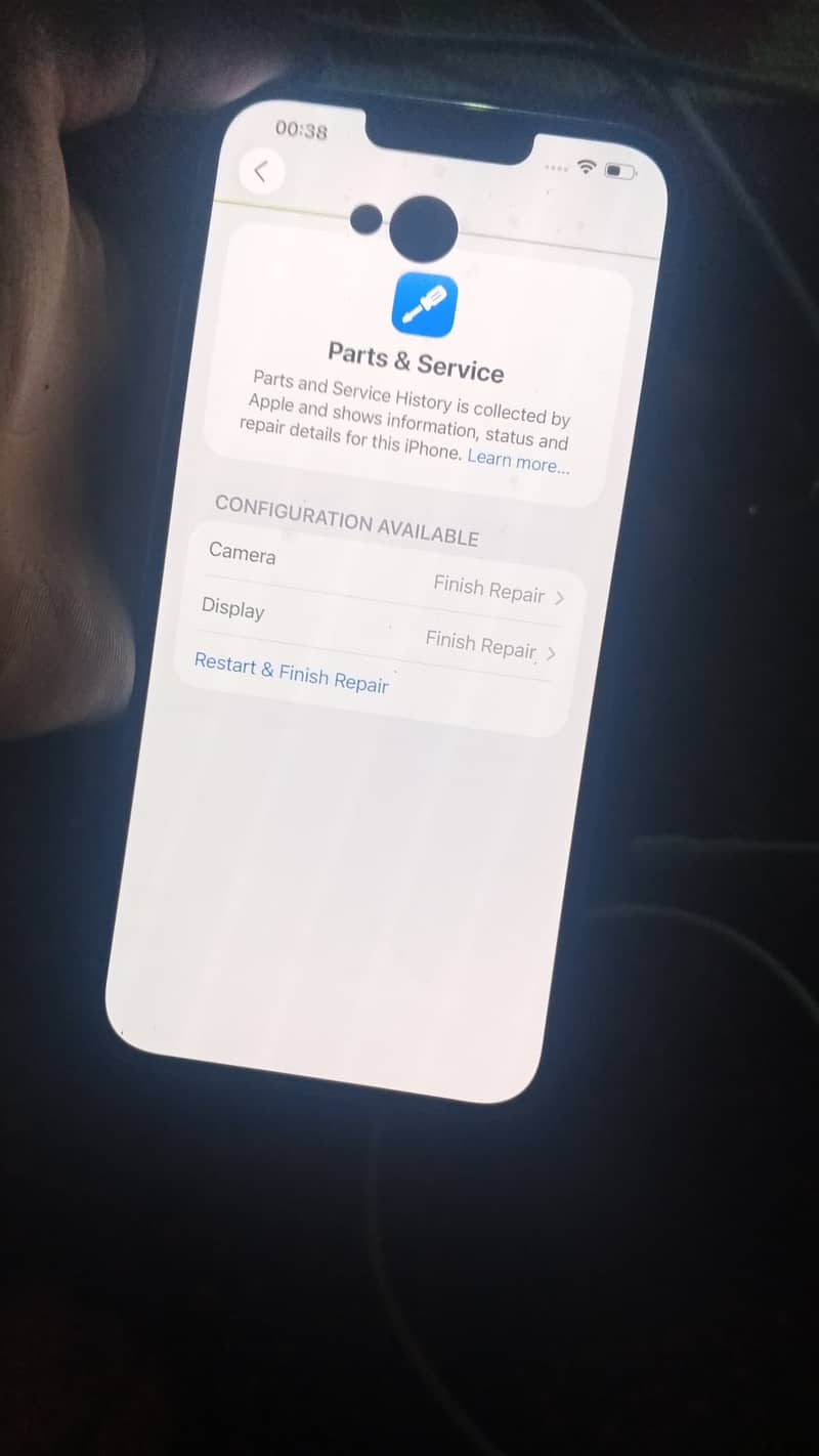 APPLE 1