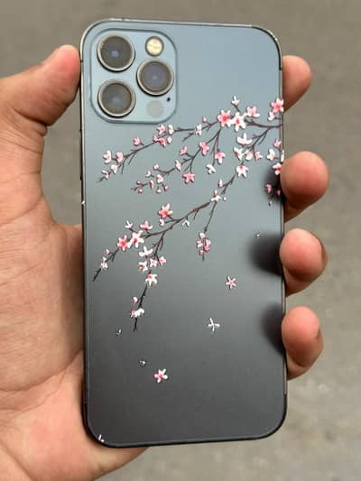 iphone 12 pro non pta factory unlocked 128 gb