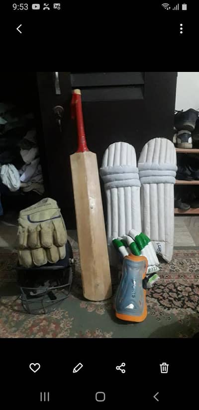 cricket kid