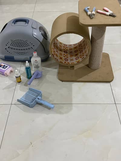 Pet accessories