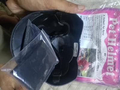 pet helmet for little puppy or cats