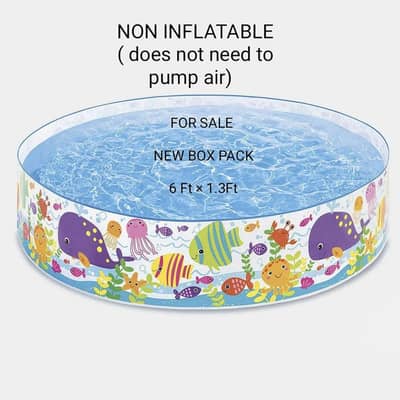 INTEX NON -INFLATABLE POOL