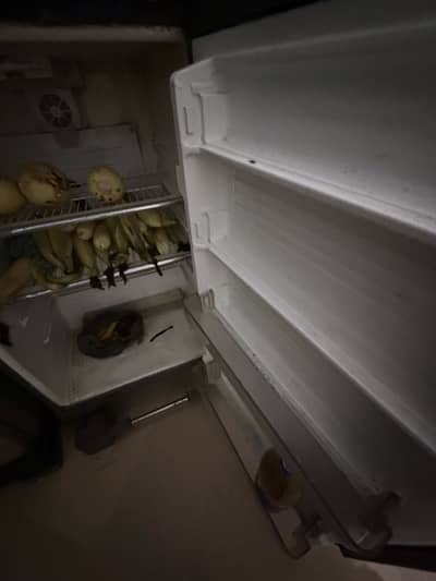 Dawlance refrigerator for sale contact 03014011580