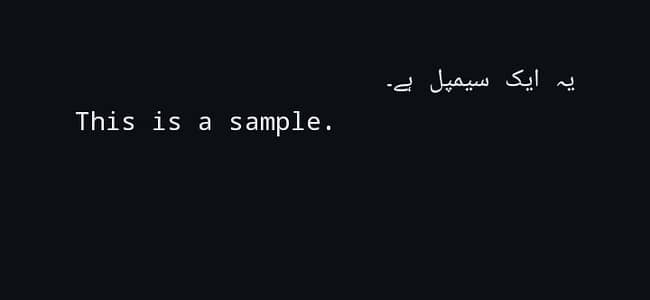 urdu English typing services