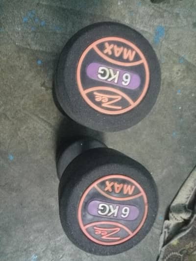 Dumbbell set gym equipment
