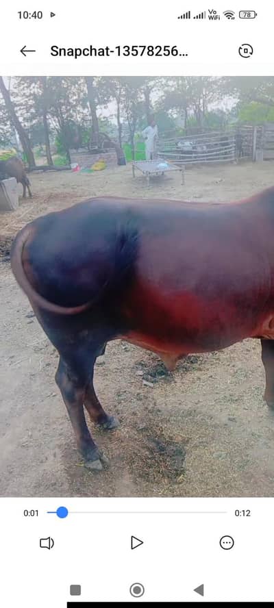 sell for