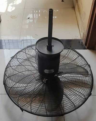 fan for sale