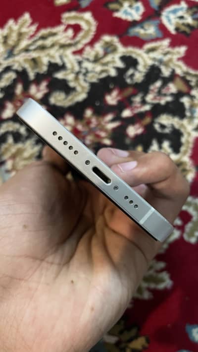 iPhone 12 jv