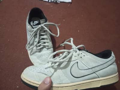 Nike Dunk low 6.0