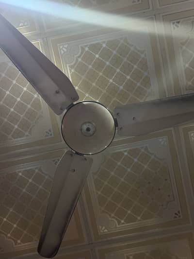 Ceiling fan