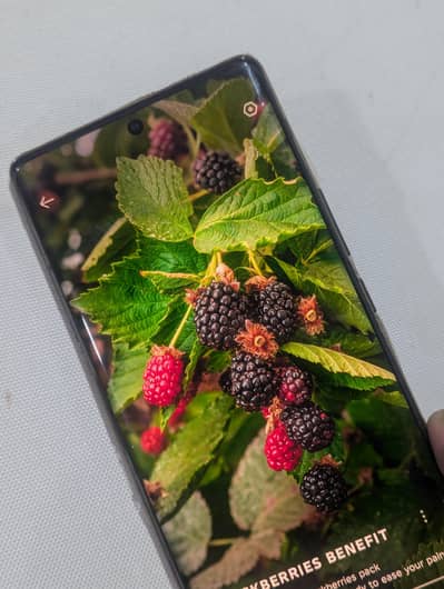 Tecno spark 20 pro Plus