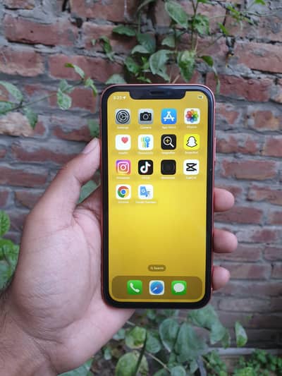 iPhone XR