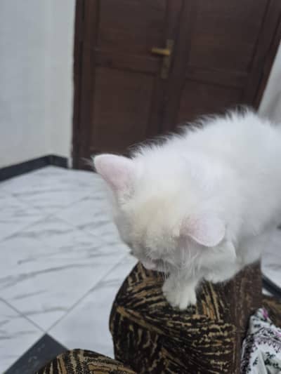 urgent sale