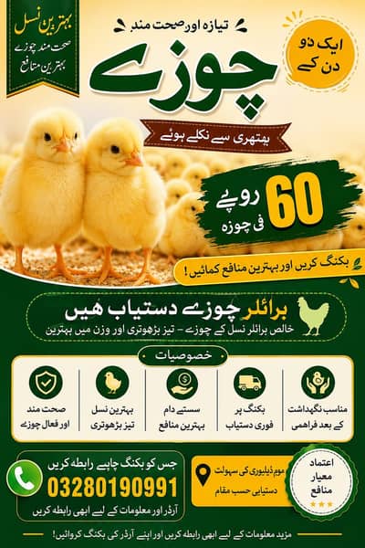 Chicks for sale