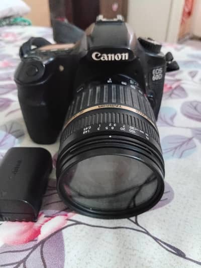 Cannon 60 D