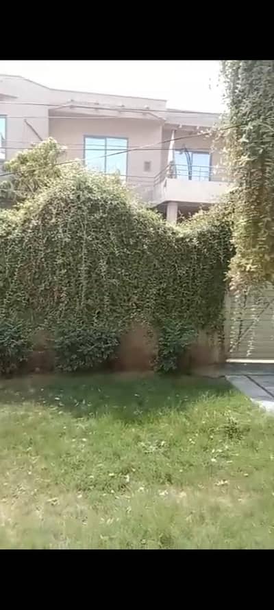 Double Story near Shalimar metro station road(03277342171)