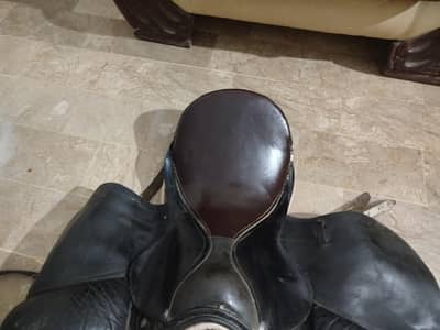 saddle for sell