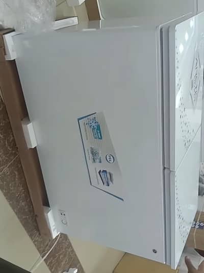 PELL GLASS 2 DOOR INVERTER DEEP FREEZER 1 MONTH USED