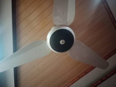 Sk fan