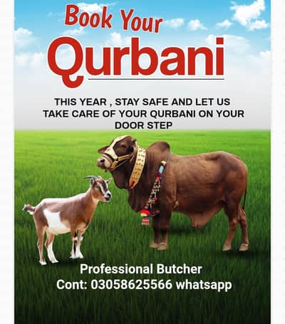 Qisab,Butcher, Qasai, Professional qisab,