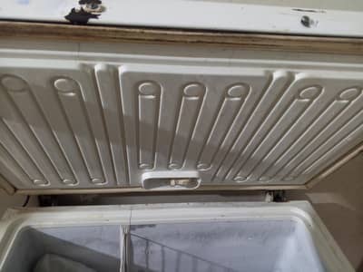 pel d freezer