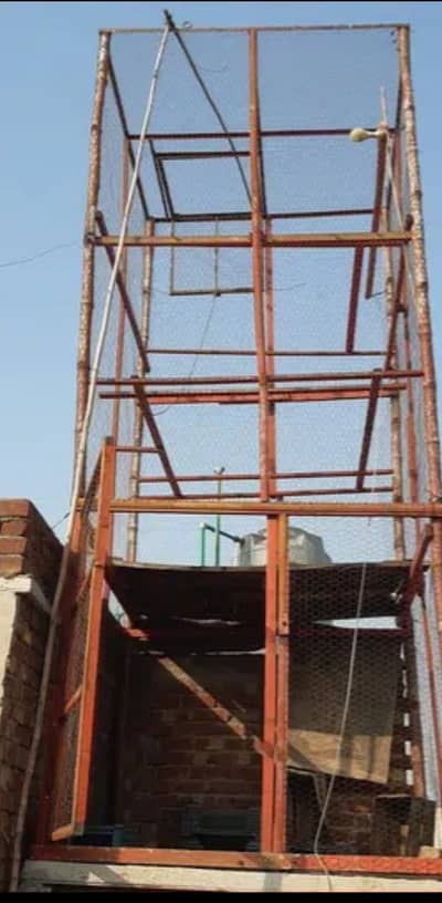 Pigeon Cage