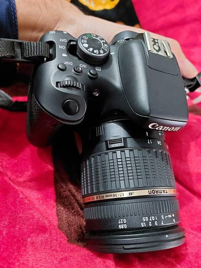 Canon EOS Rebel t6i.