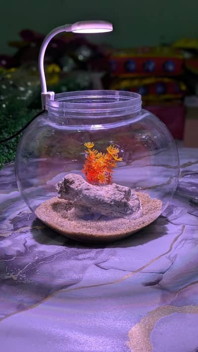 betta fish plastic bowl
