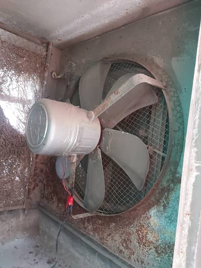 lahori cooler best choice