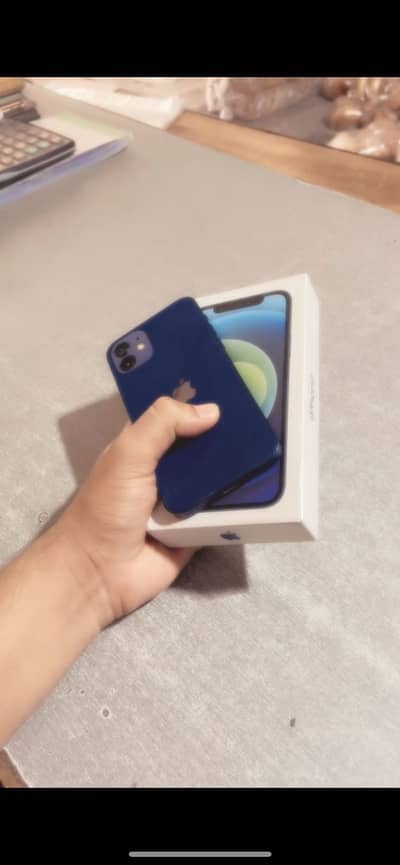 iPhone 12    128 gb
