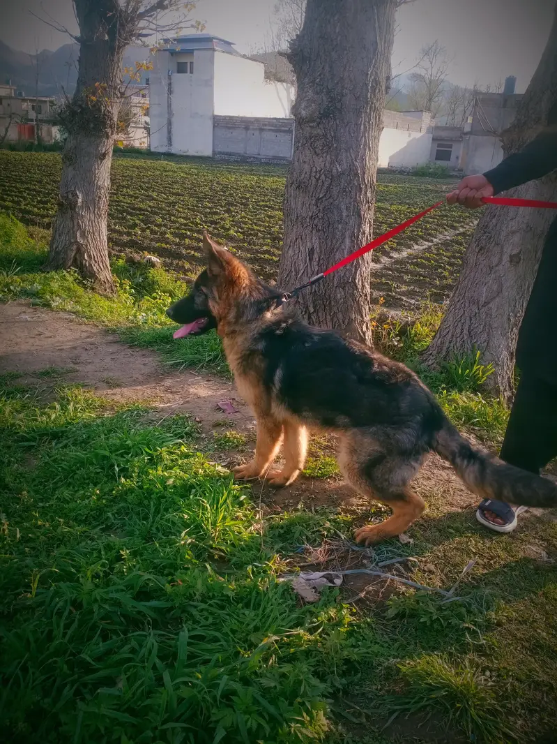 fully vaccinated  high quality — photo 2