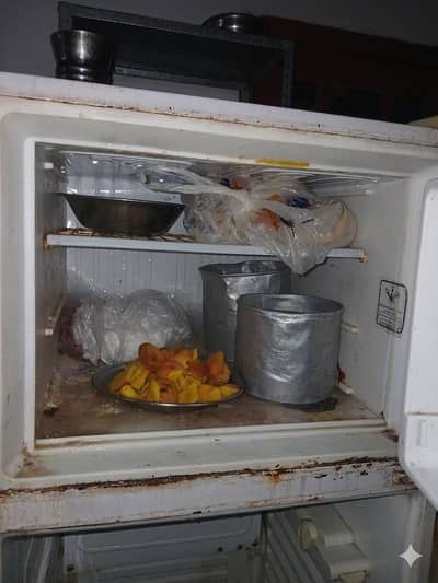 pel use fridge for sell