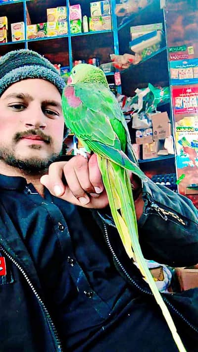 Afzal Fazal Afzal Fazal