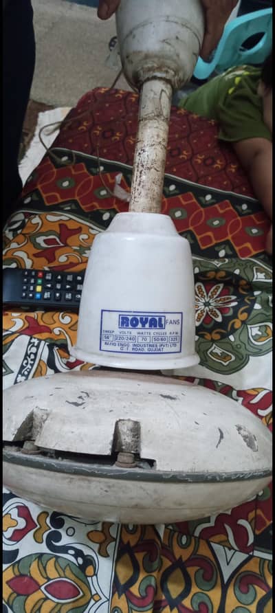 Royal fan