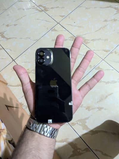 iPhone 12