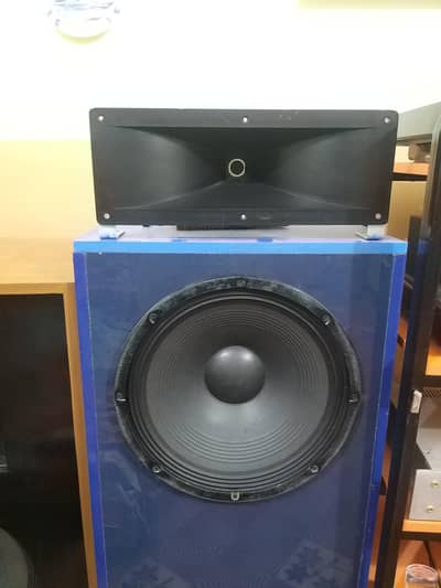 15" horn speaker like JBL Klipsch Yamaha