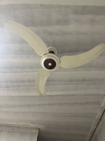 GFC ceiling fan for sale