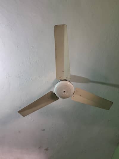National Fan For Sale