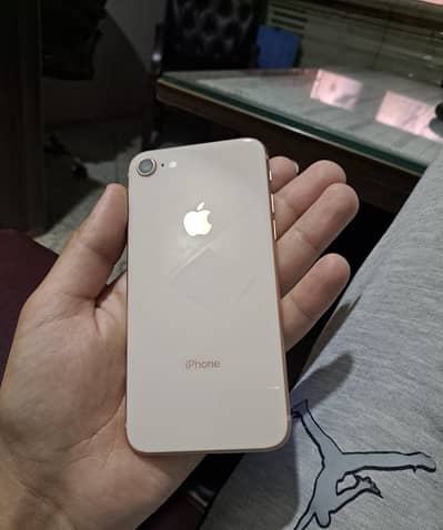 iPhone 8 lush condition 10/10