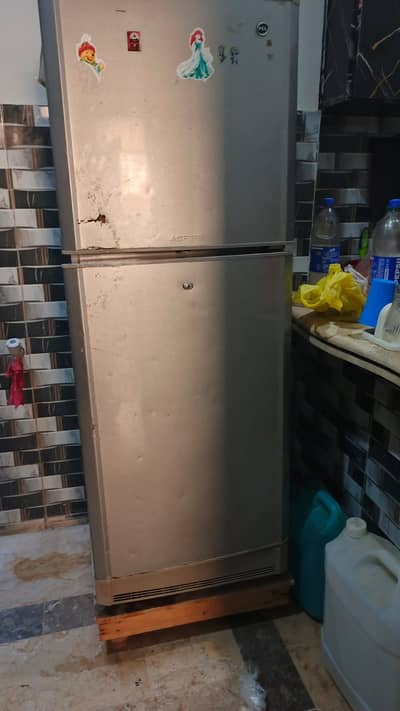 Pel fridge for sale