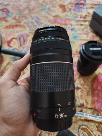 75/300 lens
