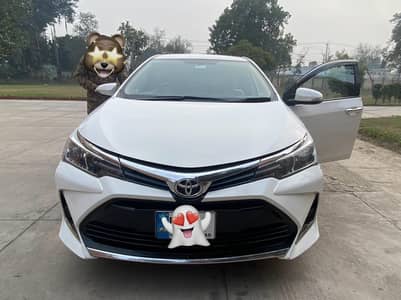 Toyota Altus 2021