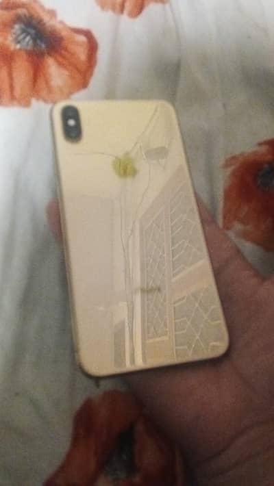 XS MAX